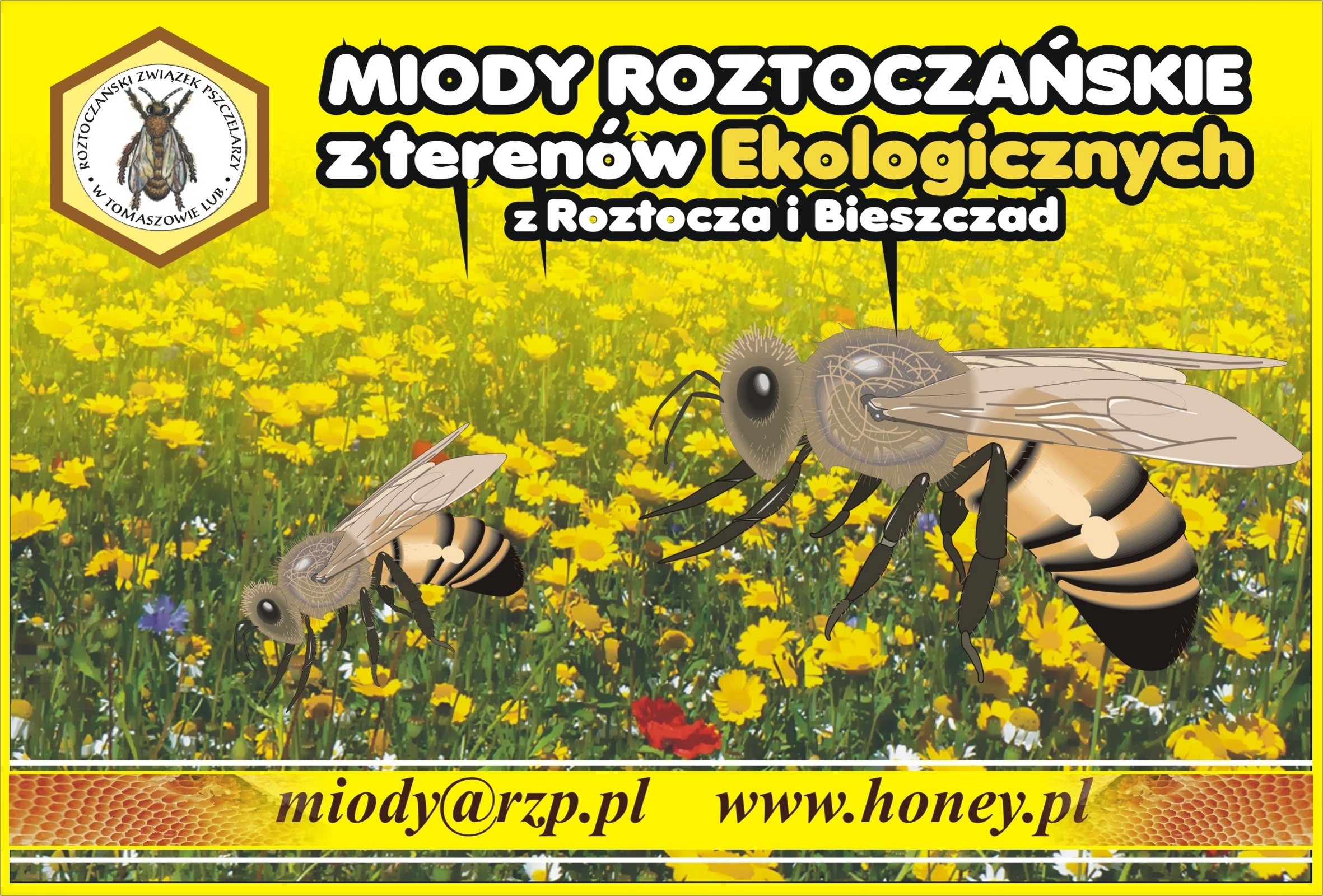 rzp_zwpszczoly